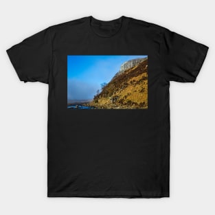 River Tees and Falcon Clints - Teesdale T-Shirt